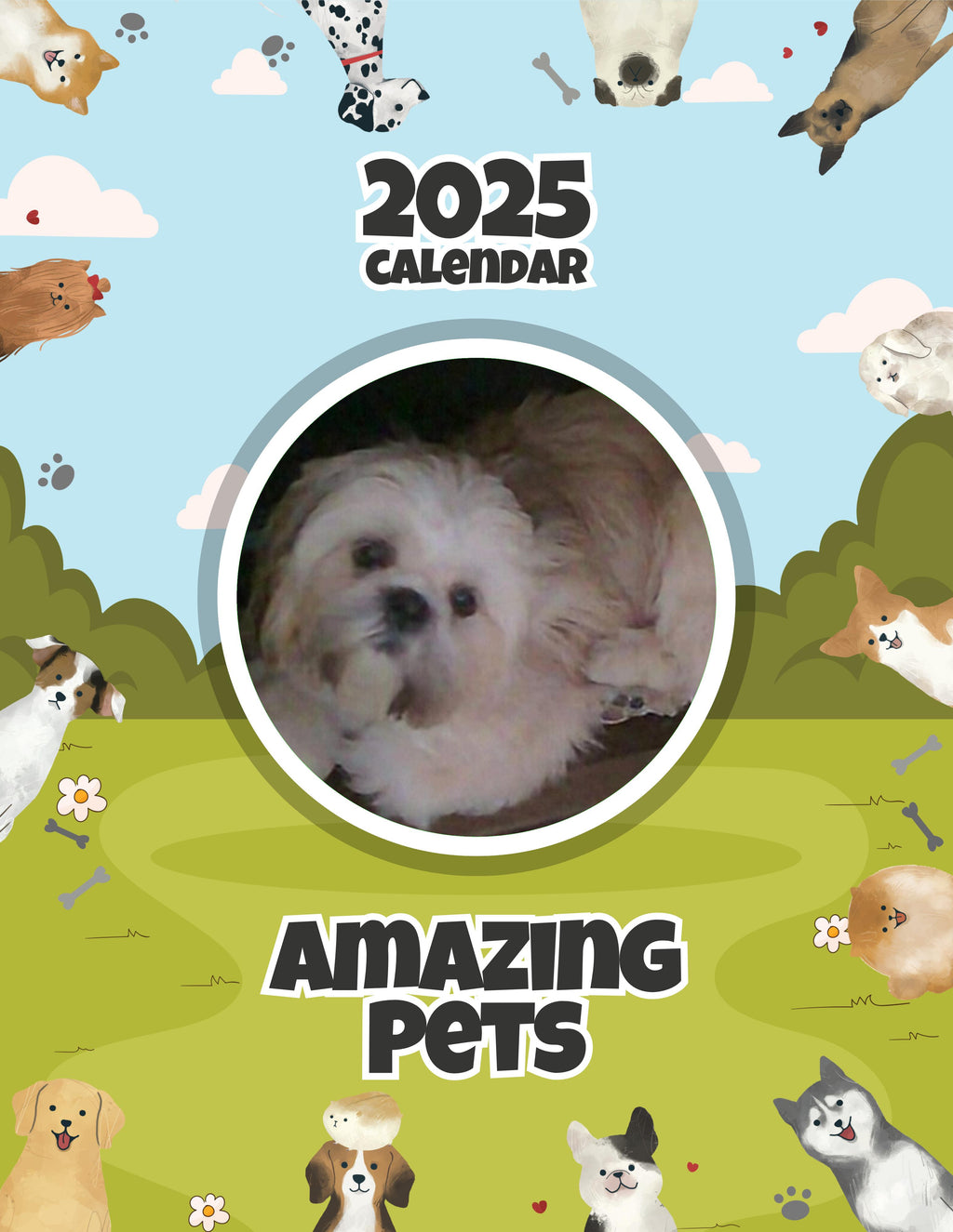 Amazing Pets: 2025 Wall Calendar (Pre-Order)