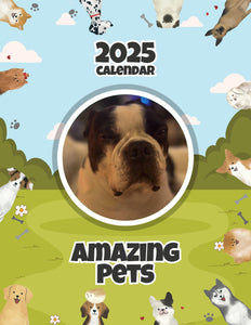 Amazing Pets: 2025 Wall Calendar (Pre-Order)