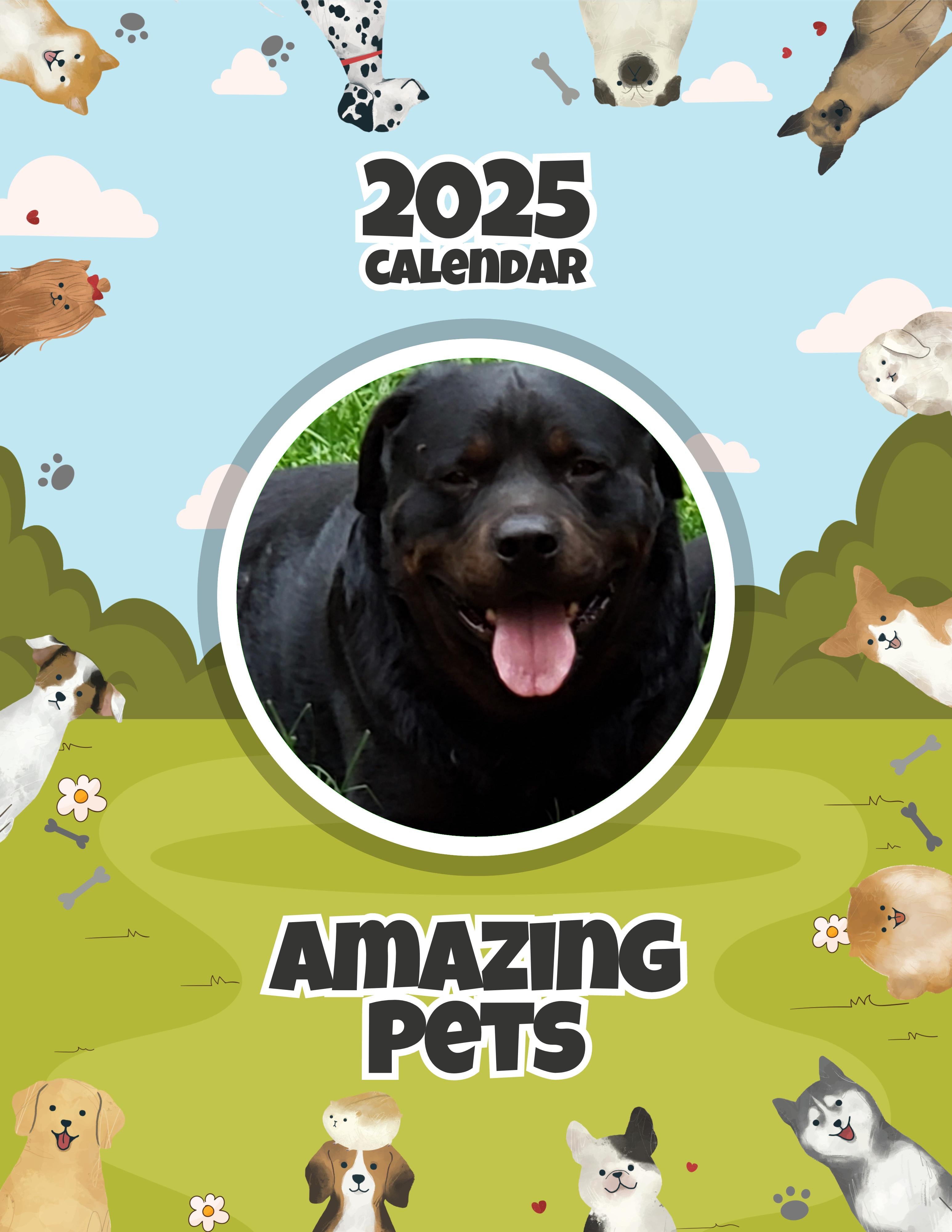 Amazing Pets: 2025 Wall Calendar (Pre-Order)