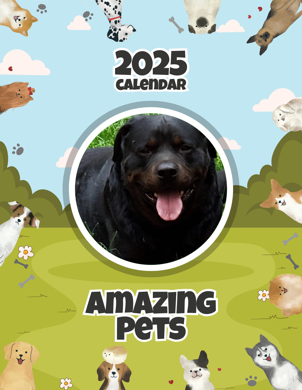 Amazing Pets: 2025 Wall Calendar (Pre-Order)