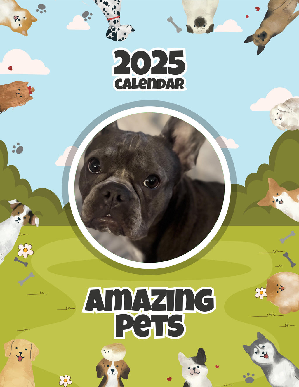 Amazing Pets: 2025 Wall Calendar (Pre-Order)