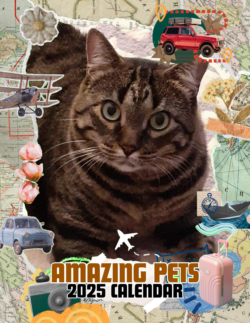 Amazing Pets: 2025 Wall Calendar (Pre-Order)