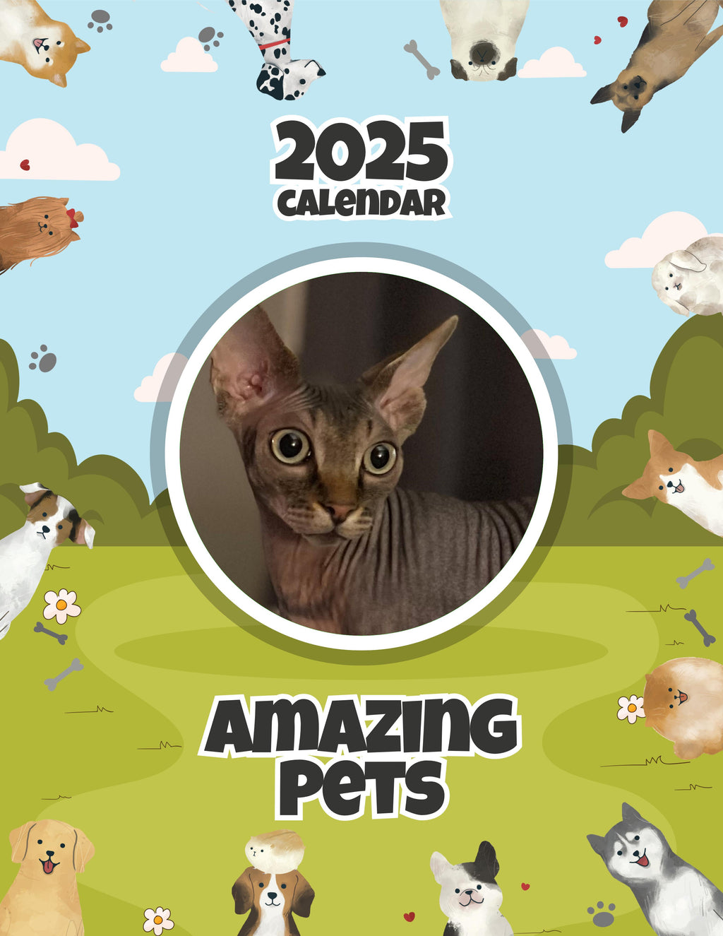 Amazing Pets: 2025 Wall Calendar (Pre-Order)
