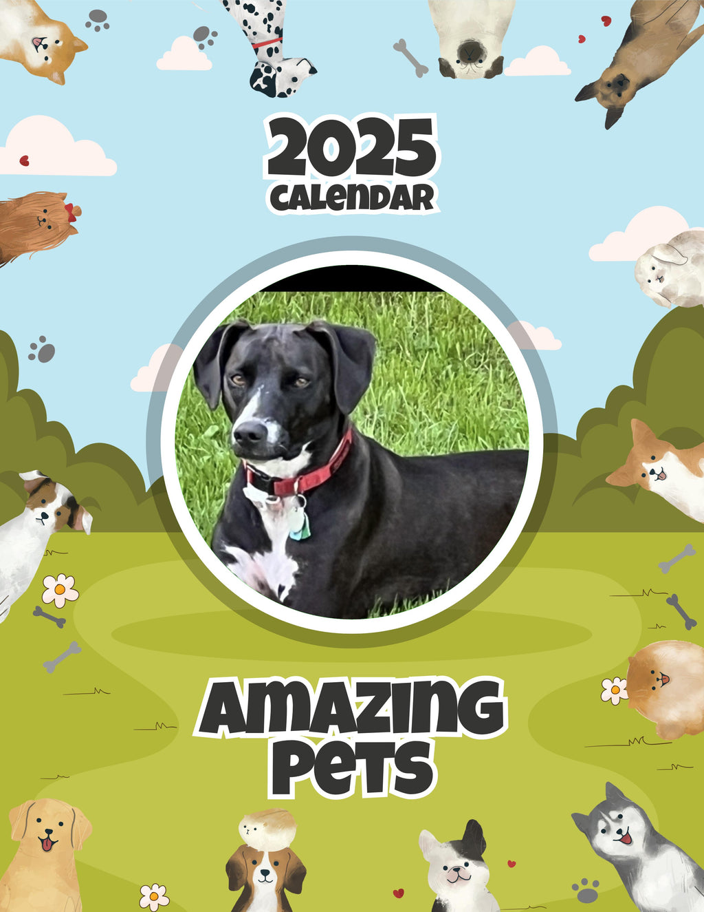 Amazing Pets: 2025 Wall Calendar (Pre-Order)