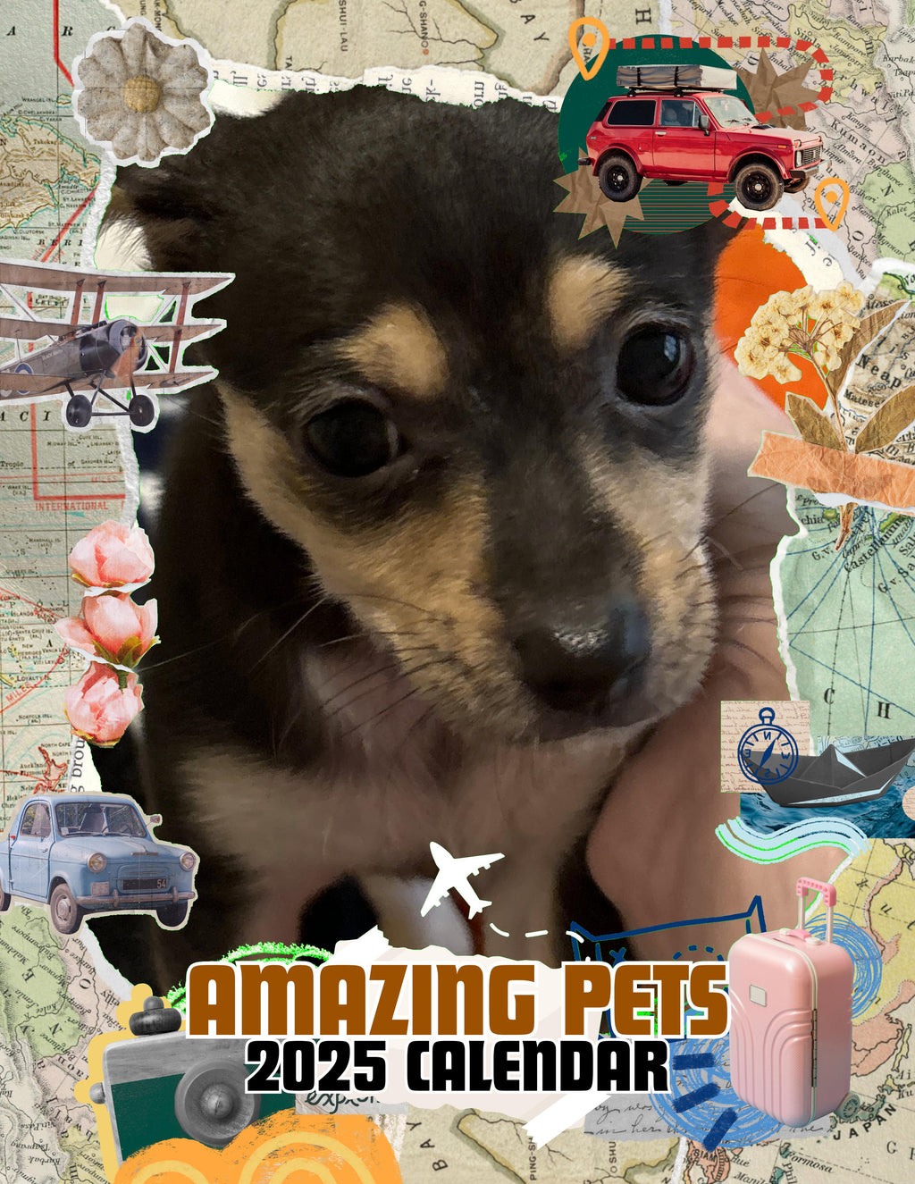 Amazing Pets: 2025 Wall Calendar (Pre-Order)