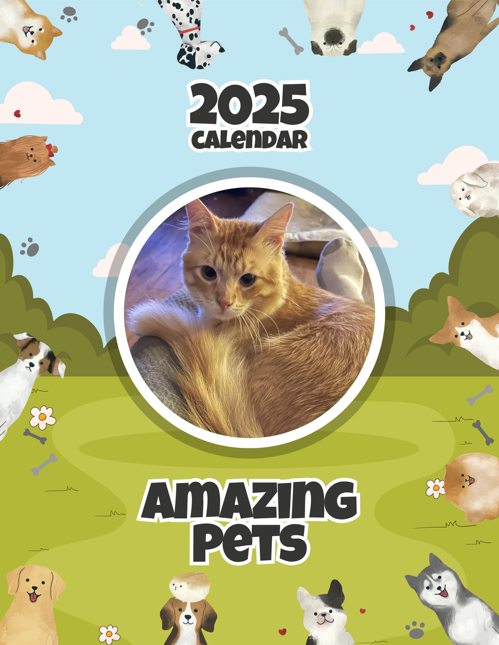 Amazing Pets: 2025 Wall Calendar (Pre-Order)