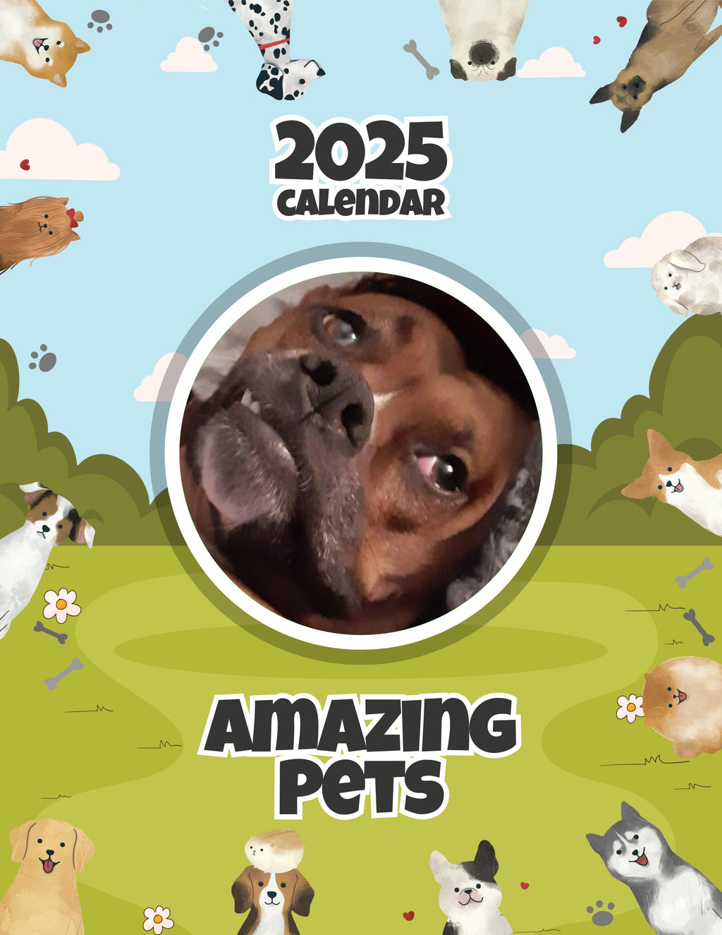 Amazing Pets: 2025 Wall Calendar (Pre-Order)
