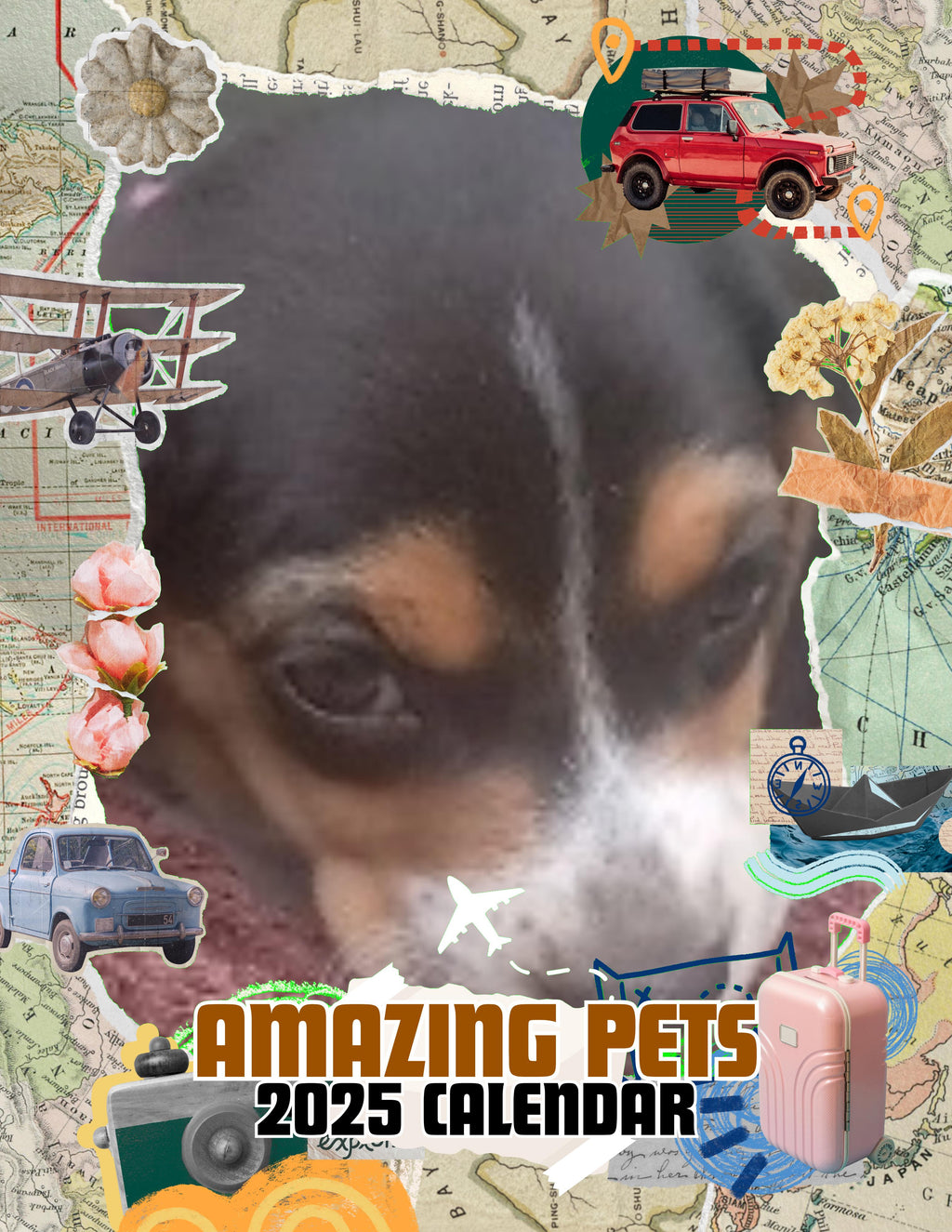 Amazing Pets: 2025 Wall Calendar (Pre-Order)