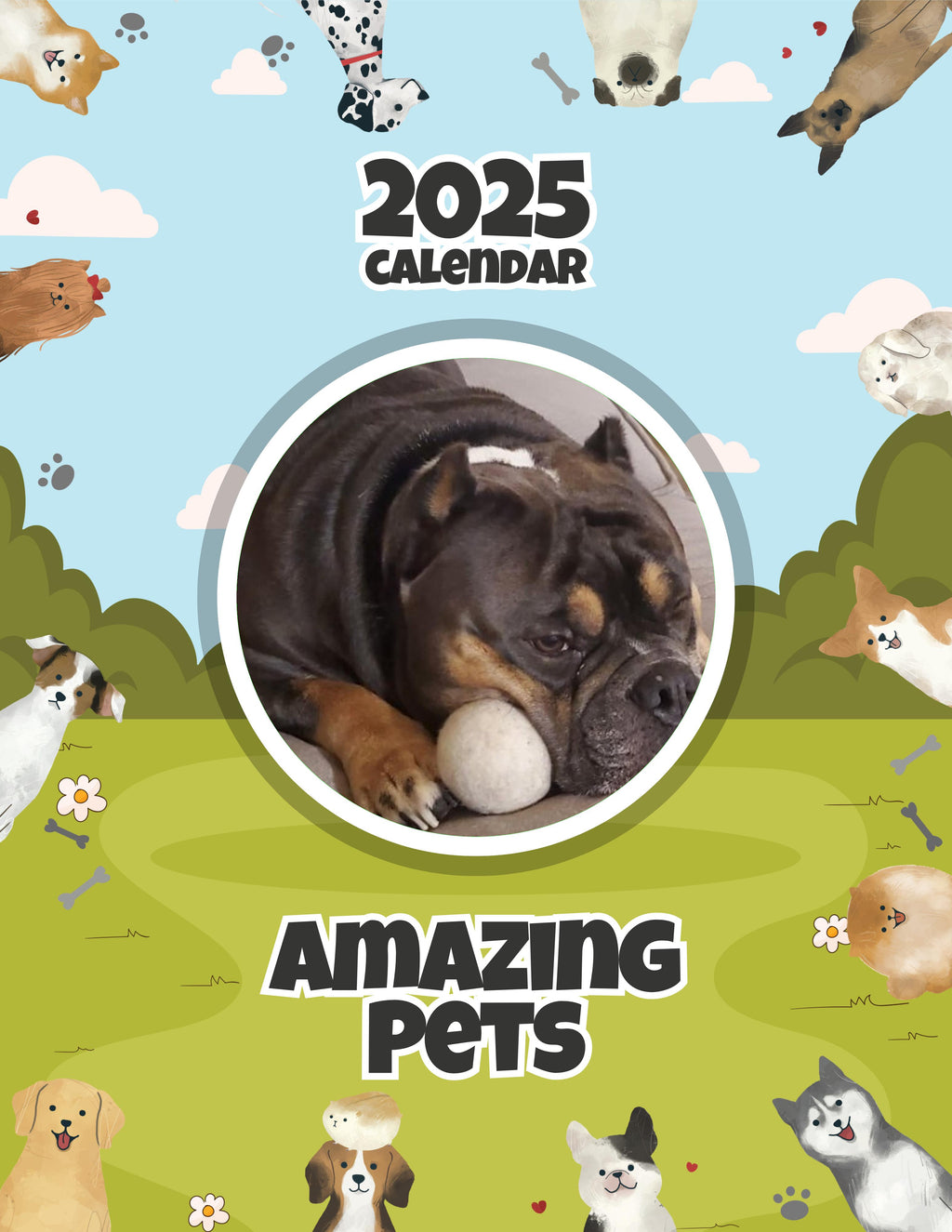 Amazing Pets: 2025 Wall Calendar (Pre-Order)