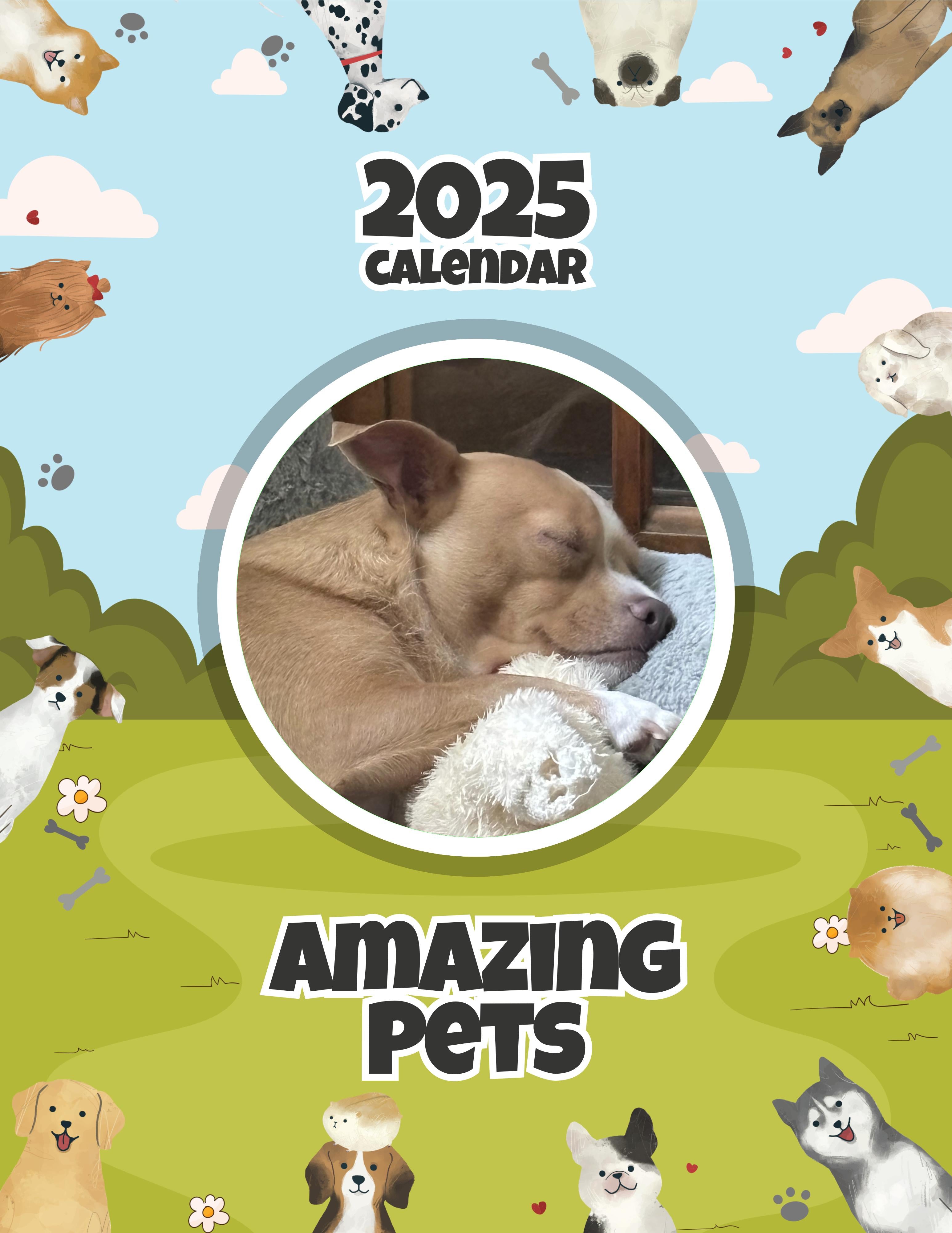 Amazing Pets: 2025 Wall Calendar (Pre-Order)