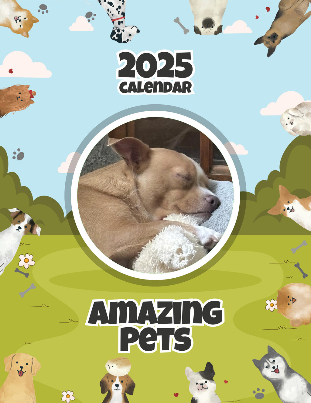 Amazing Pets: 2025 Wall Calendar (Pre-Order)