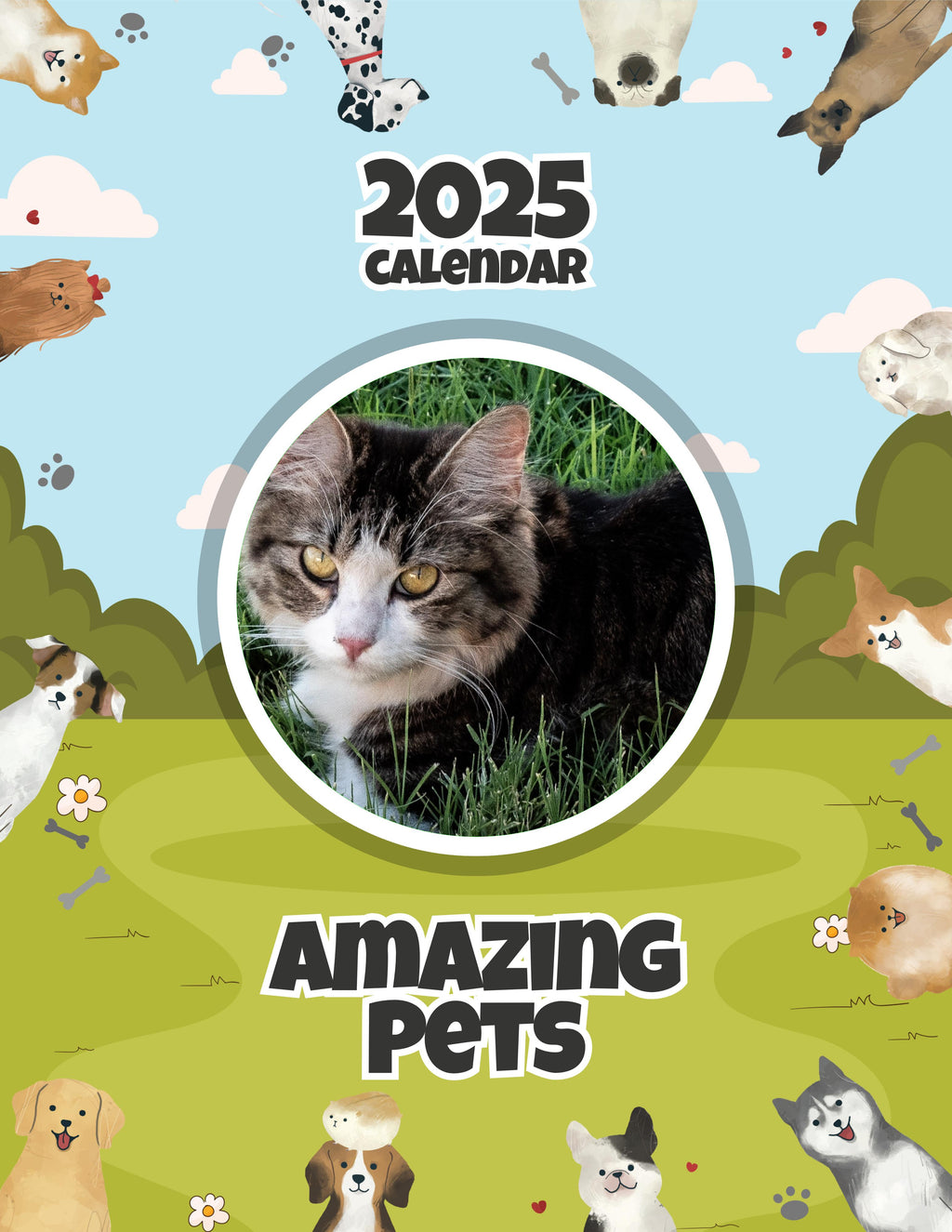 Amazing Pets: 2025 Wall Calendar (Pre-Order)