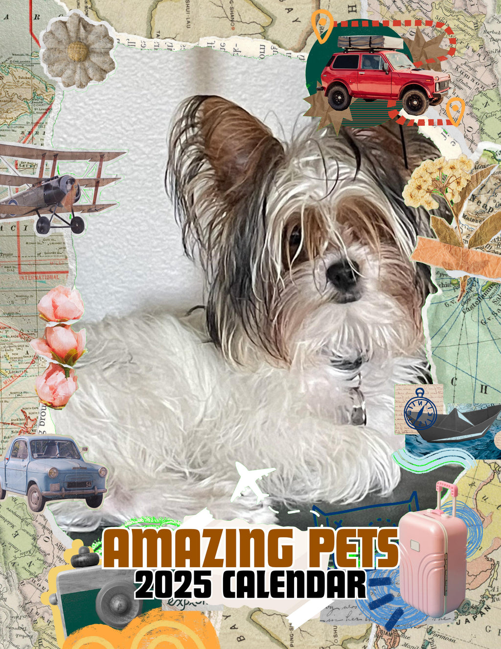 Amazing Pets: 2025 Wall Calendar (Pre-Order)