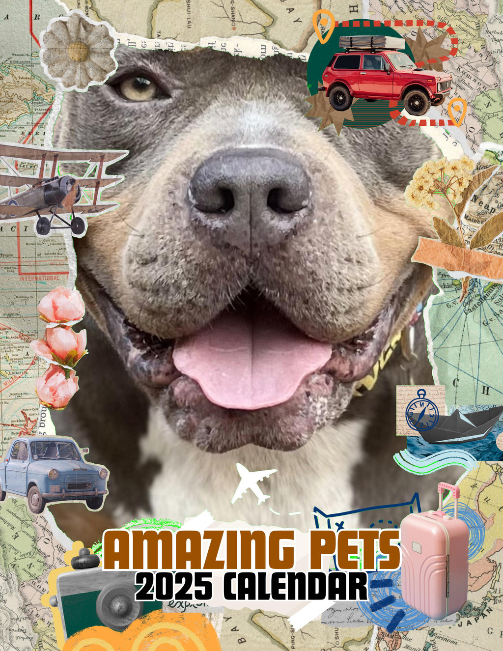 Amazing Pets: 2025 Wall Calendar (Pre-Order)