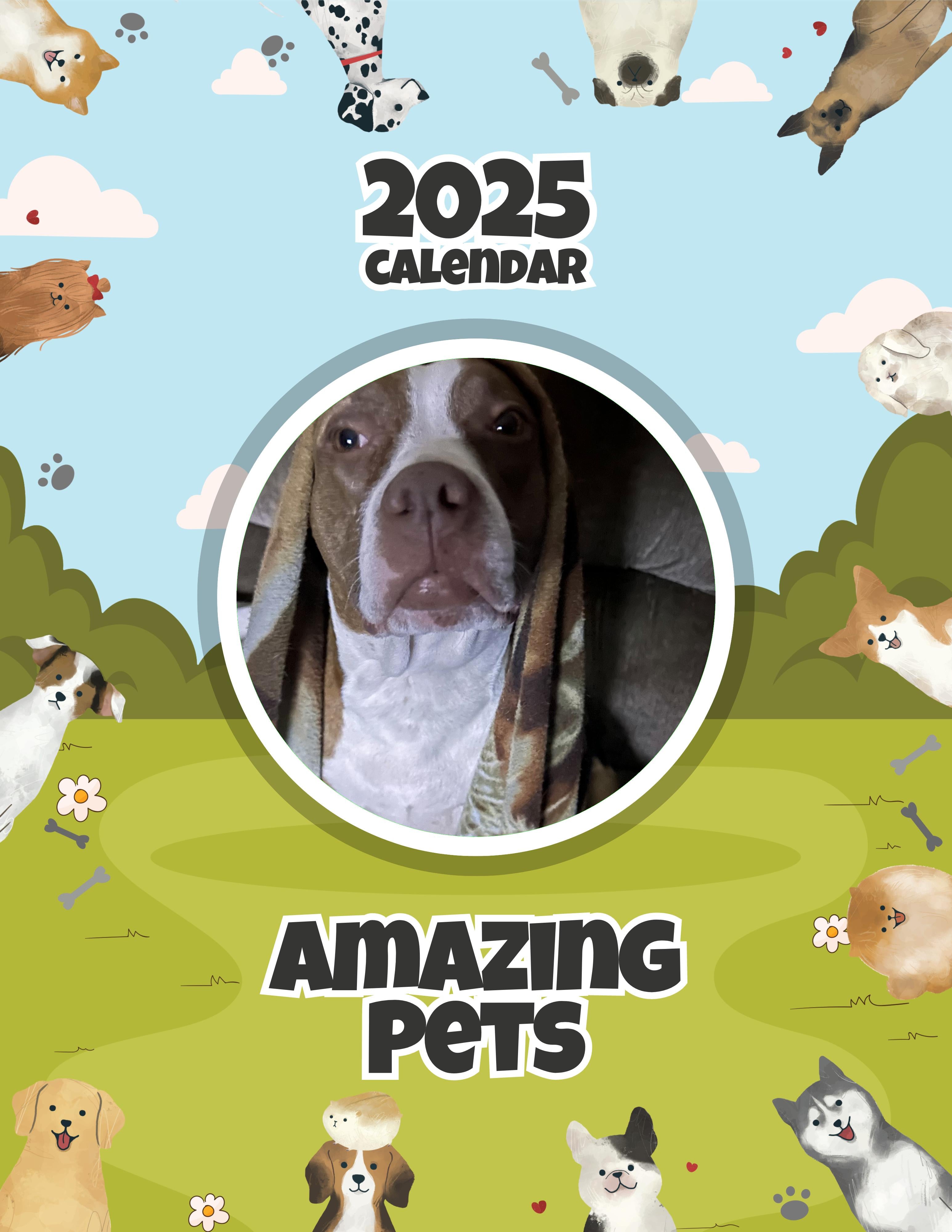 Amazing Pets: 2025 Wall Calendar (Pre-Order)