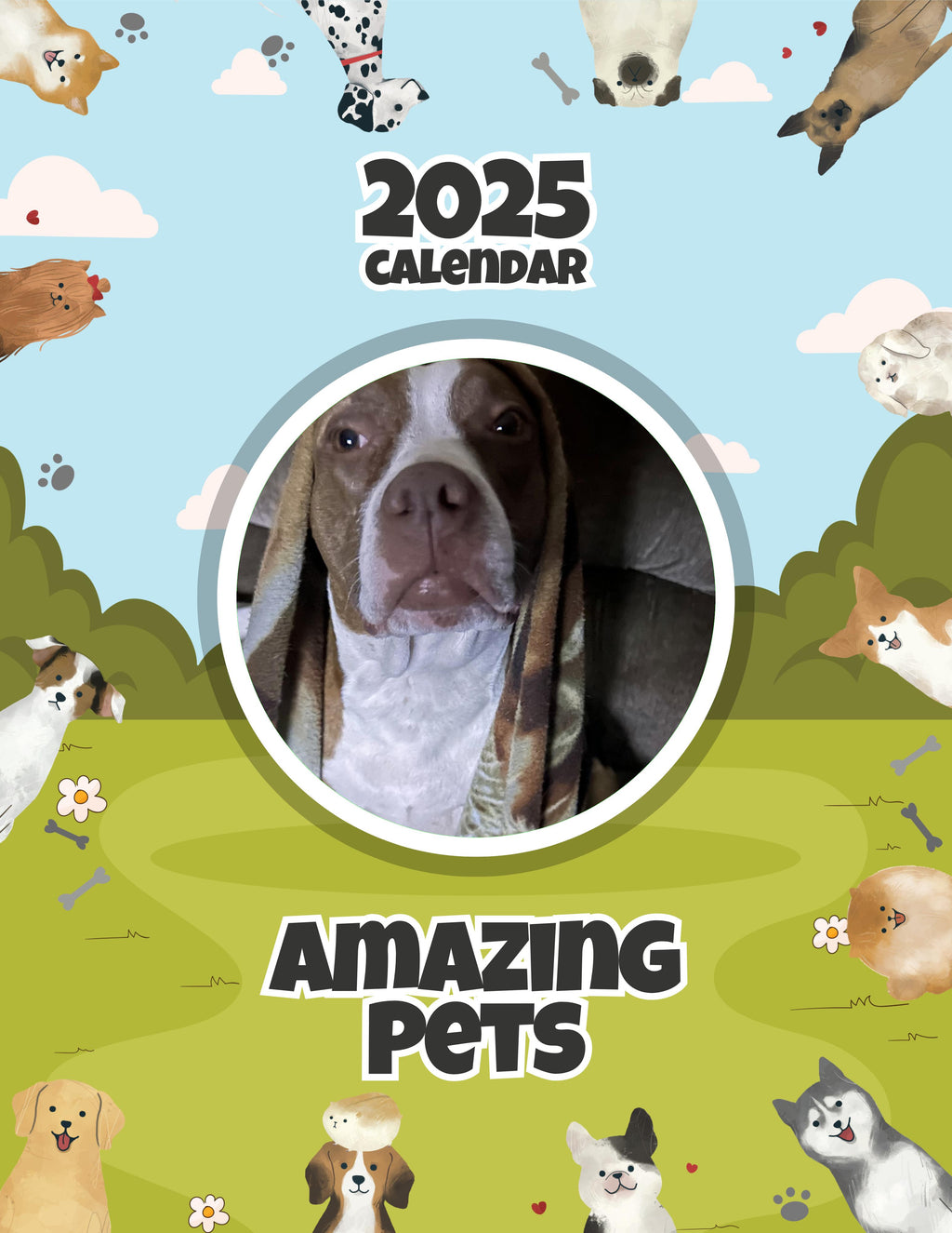 Amazing Pets: 2025 Wall Calendar (Pre-Order)