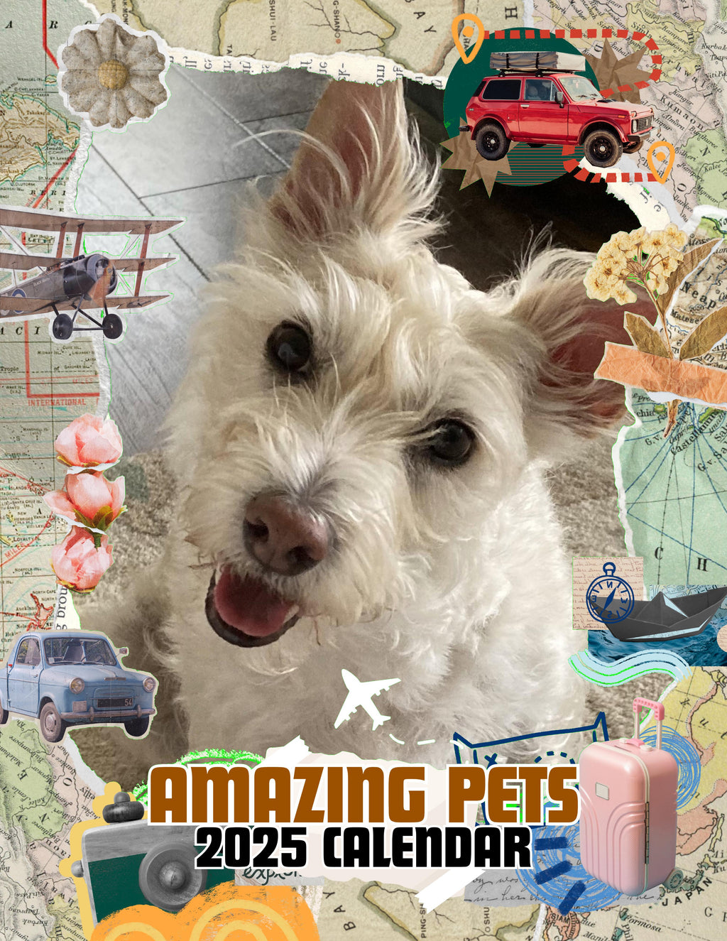 Amazing Pets: 2025 Wall Calendar (Pre-Order)