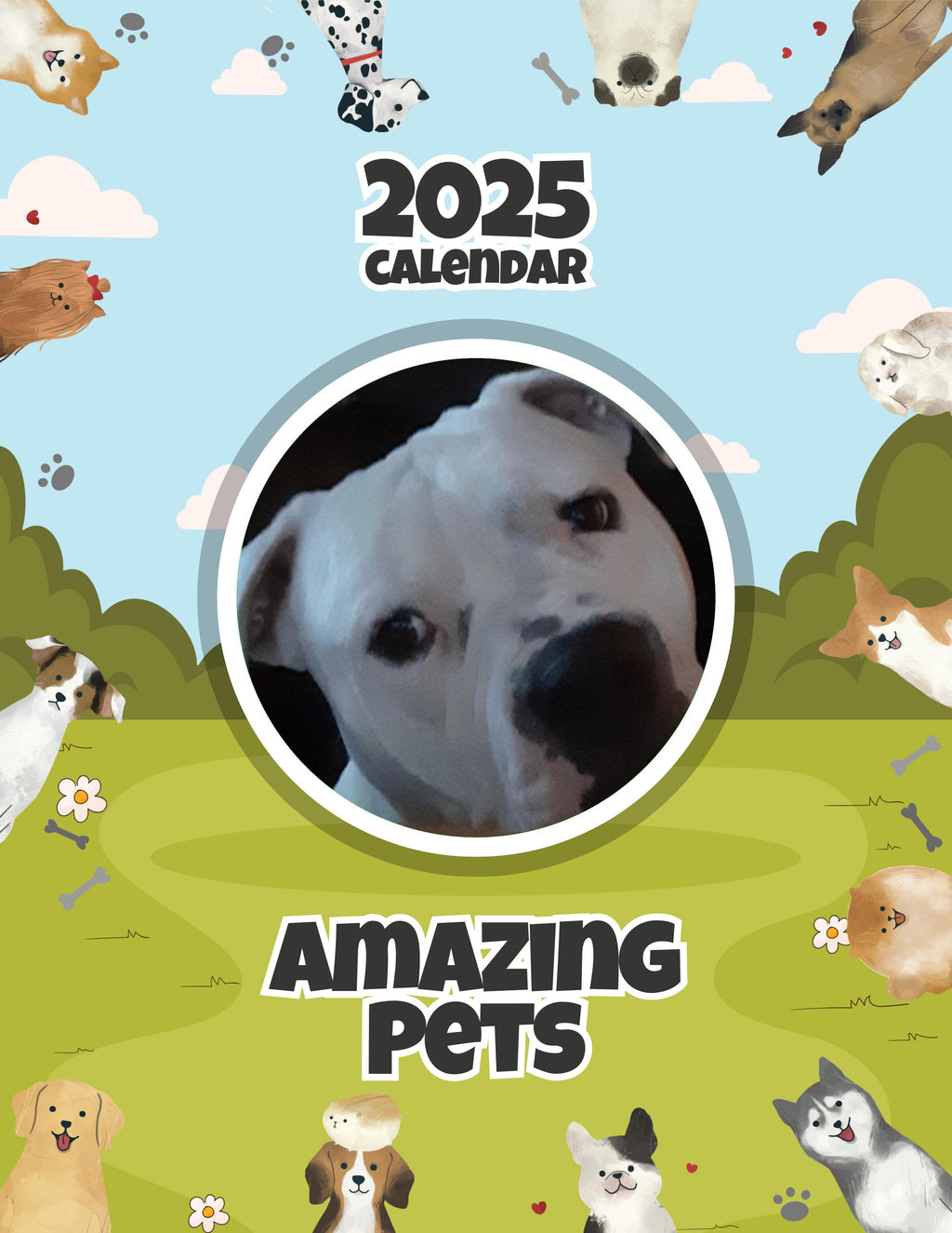 Amazing Pets: 2025 Wall Calendar (Pre-Order)