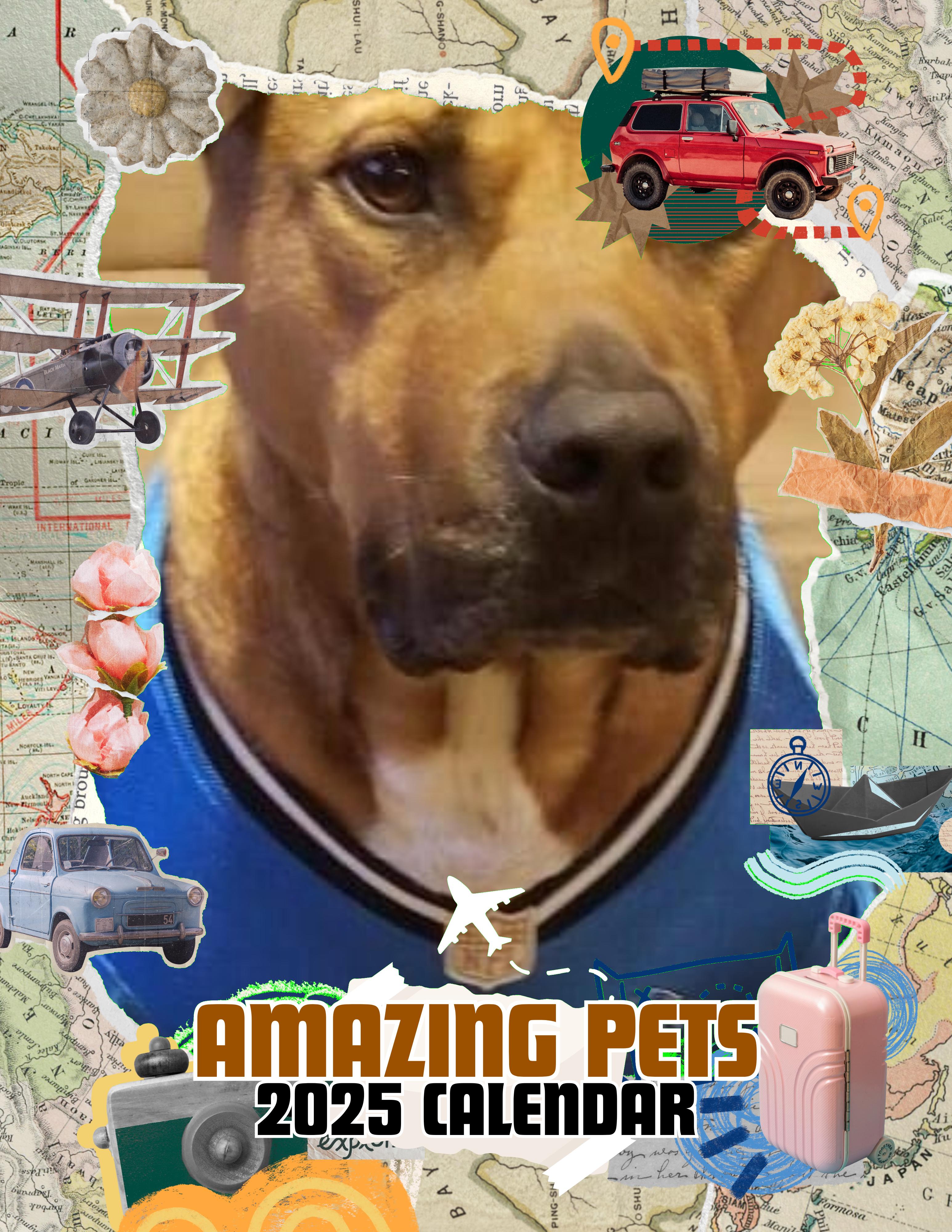 Amazing Pets: 2025 Wall Calendar (Pre-Order)