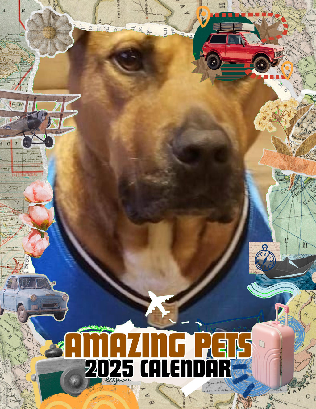 Amazing Pets: 2025 Wall Calendar (Pre-Order)