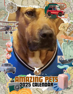 Amazing Pets: 2025 Wall Calendar (Pre-Order)