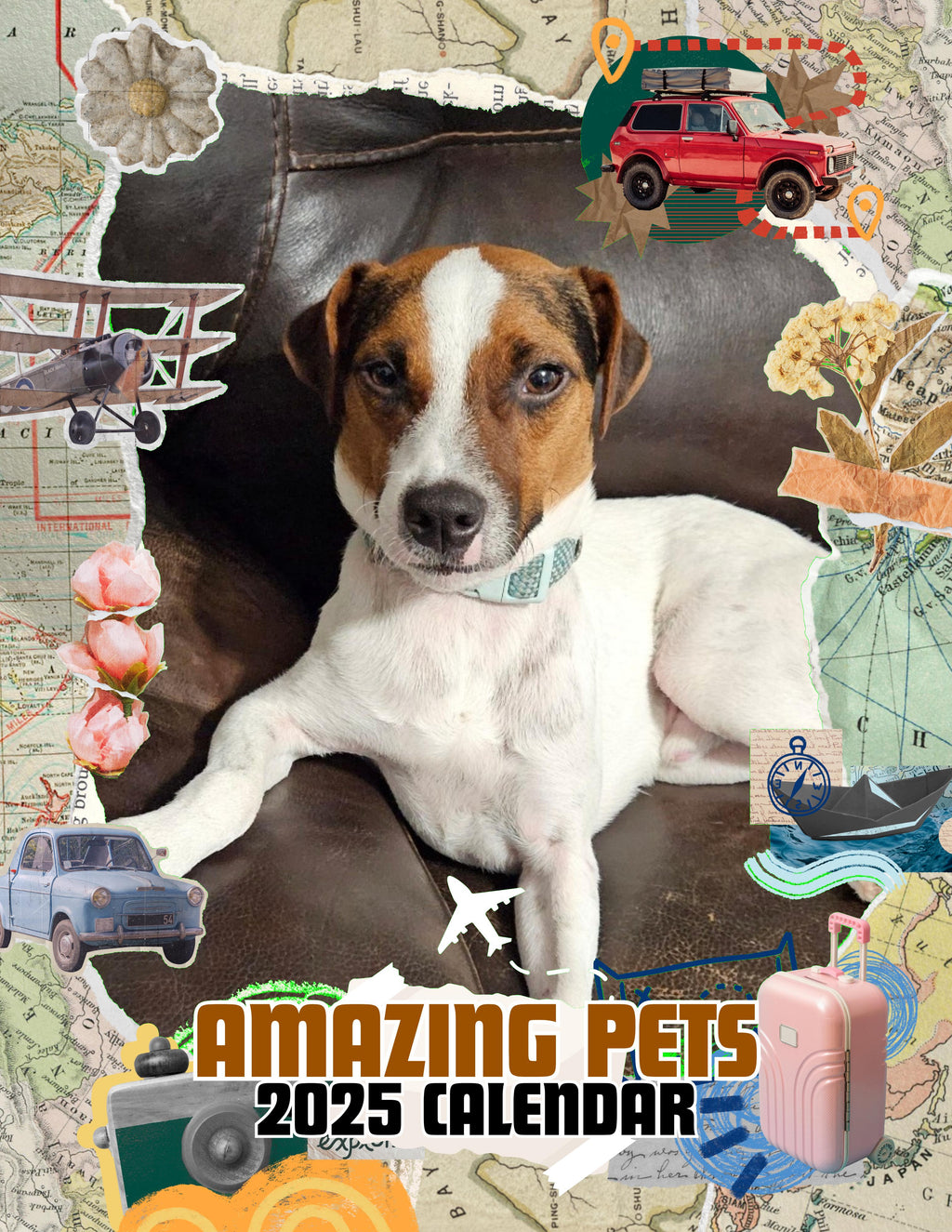Amazing Pets: 2025 Wall Calendar (Pre-Order)