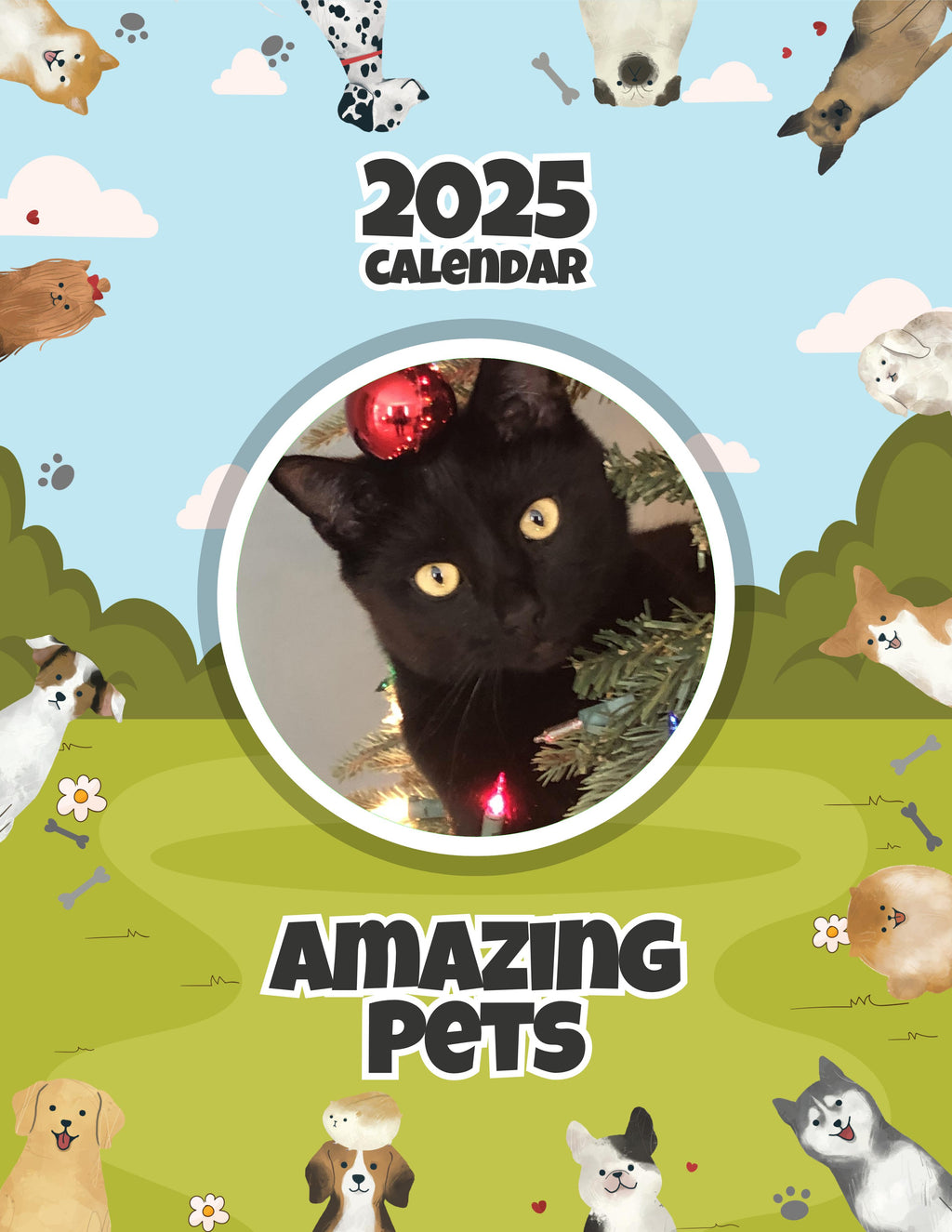 Amazing Pets: 2025 Wall Calendar (Pre-Order)