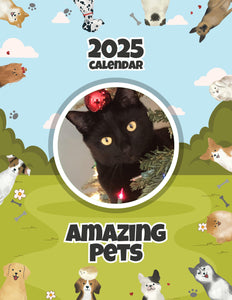 Amazing Pets: 2025 Wall Calendar (Pre-Order)