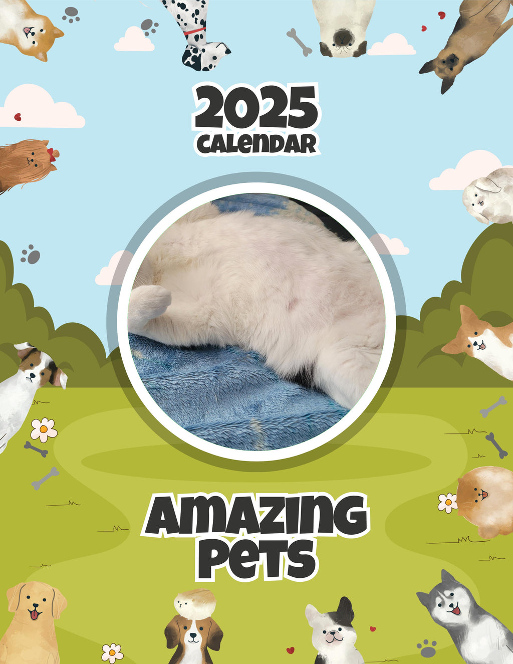 Amazing Pets: 2025 Wall Calendar (Pre-Order)