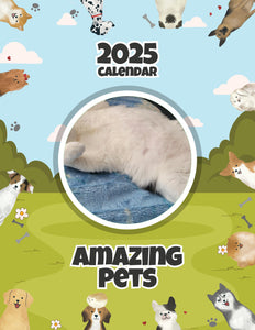 Amazing Pets: 2025 Wall Calendar (Pre-Order)
