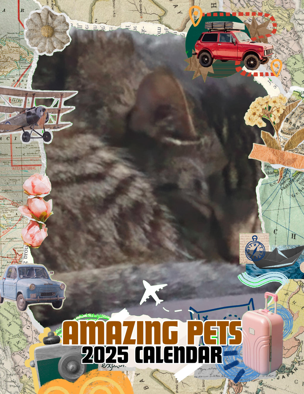 Amazing Pets: 2025 Wall Calendar (Pre-Order)