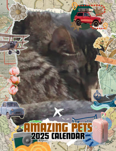Amazing Pets: 2025 Wall Calendar (Pre-Order)