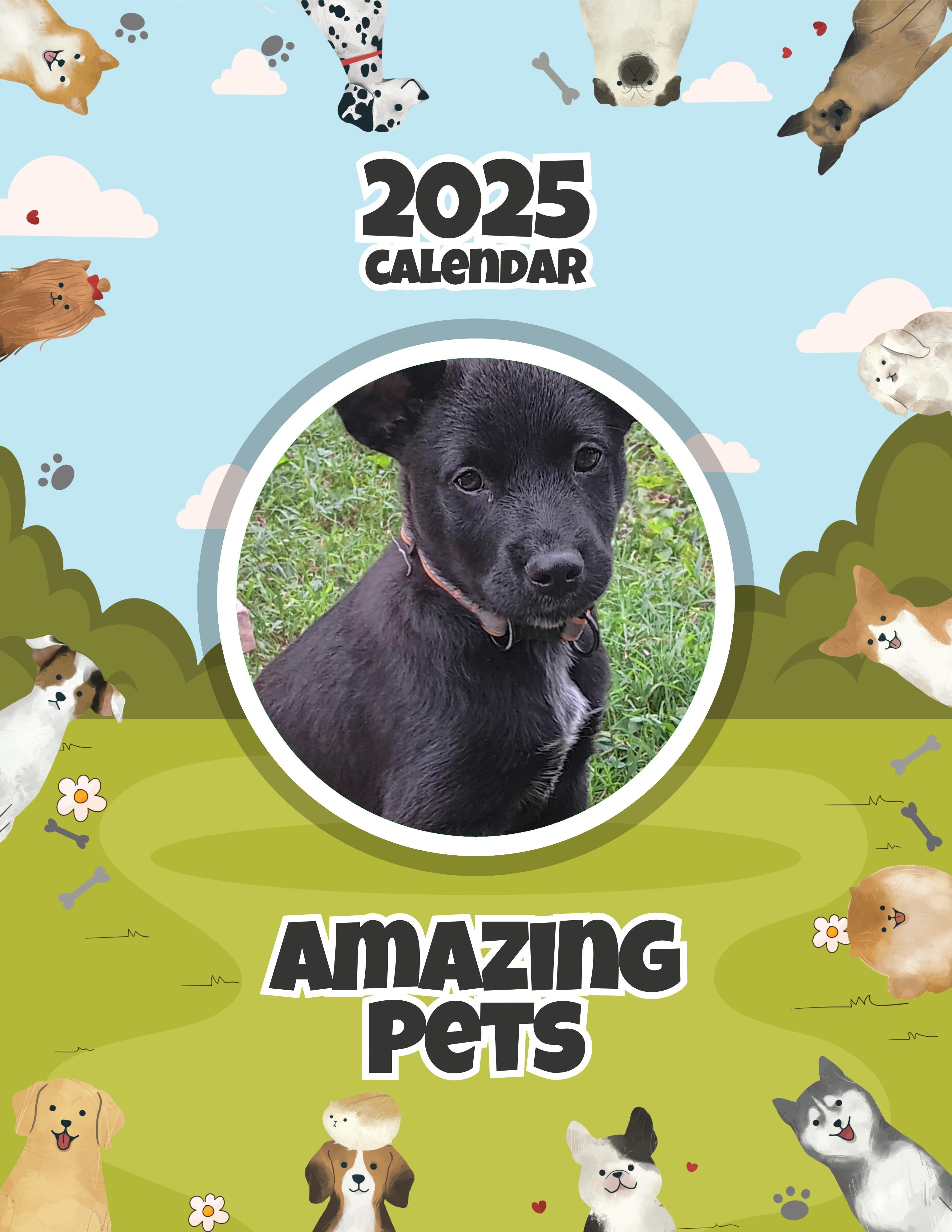 Amazing Pets: 2025 Wall Calendar (Pre-Order)