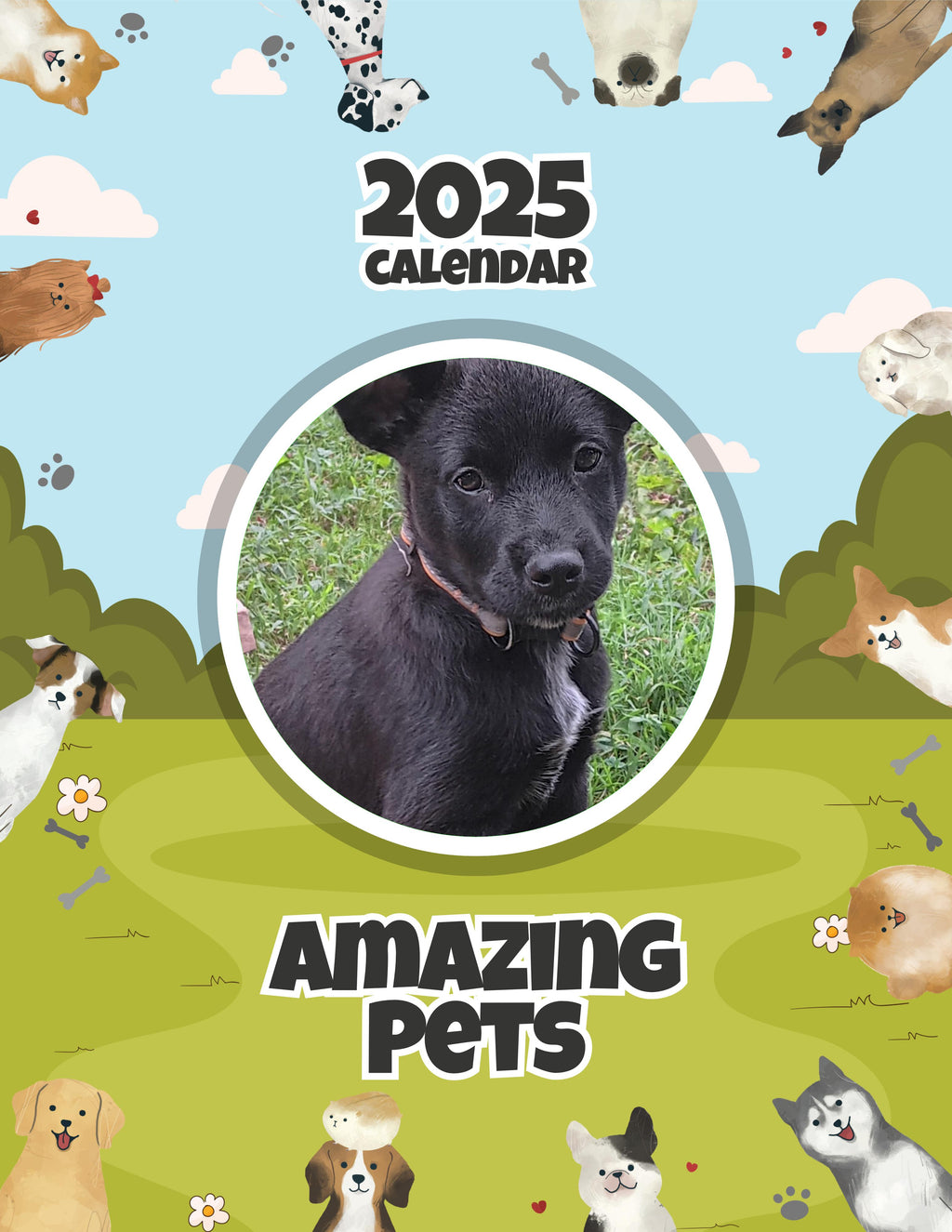 Amazing Pets: 2025 Wall Calendar (Pre-Order)