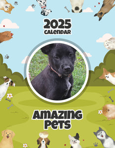 Amazing Pets: 2025 Wall Calendar (Pre-Order)