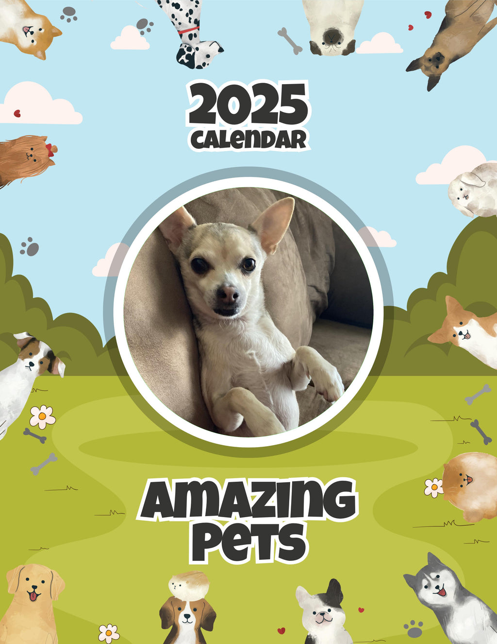 Amazing Pets: 2025 Wall Calendar (Pre-Order)