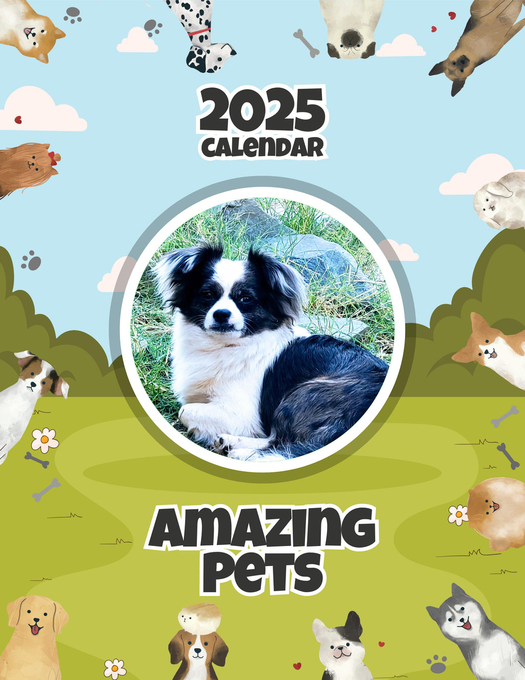 Amazing Pets: 2025 Wall Calendar (Pre-Order)