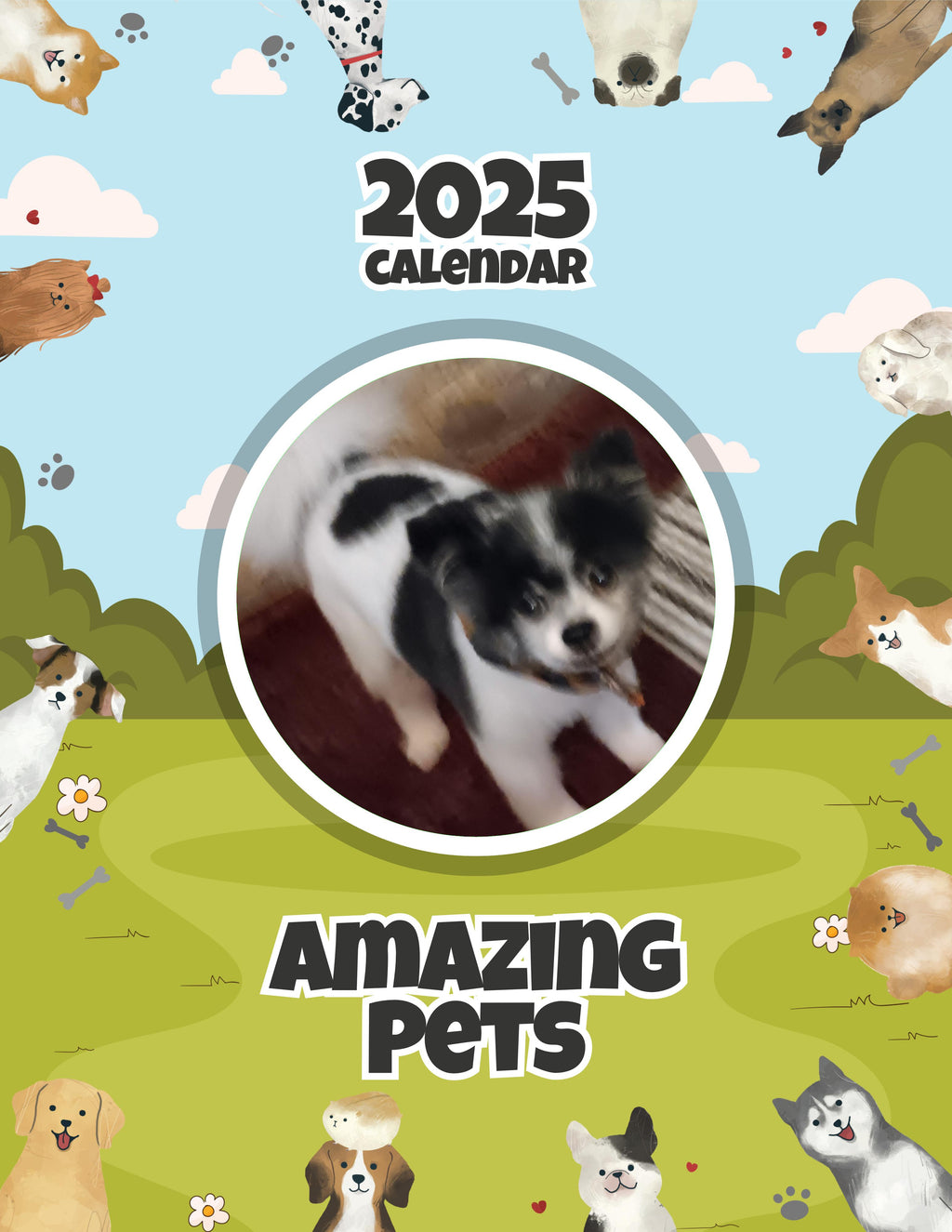 Amazing Pets: 2025 Wall Calendar (Pre-Order)