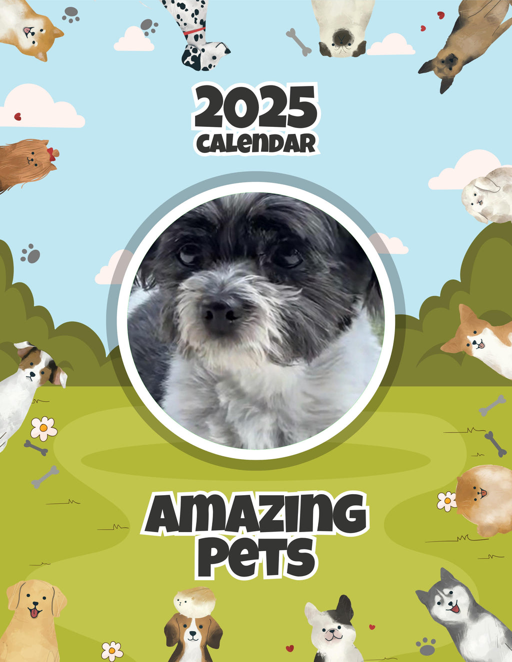 Amazing Pets: 2025 Wall Calendar (Pre-Order)