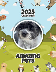 Amazing Pets: 2025 Wall Calendar (Pre-Order)