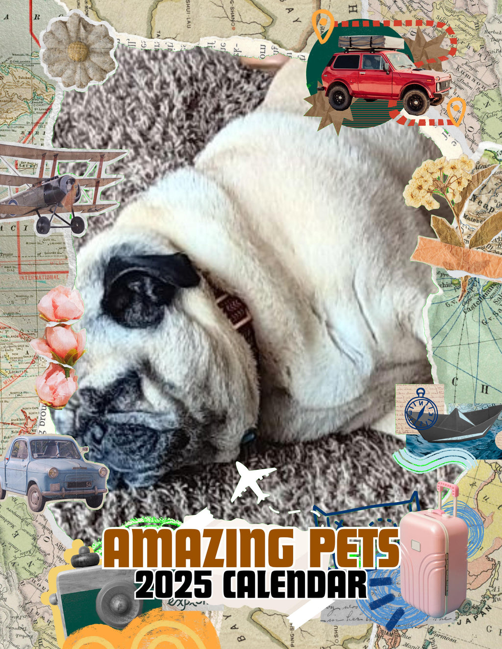 Amazing Pets: 2025 Wall Calendar (Pre-Order)
