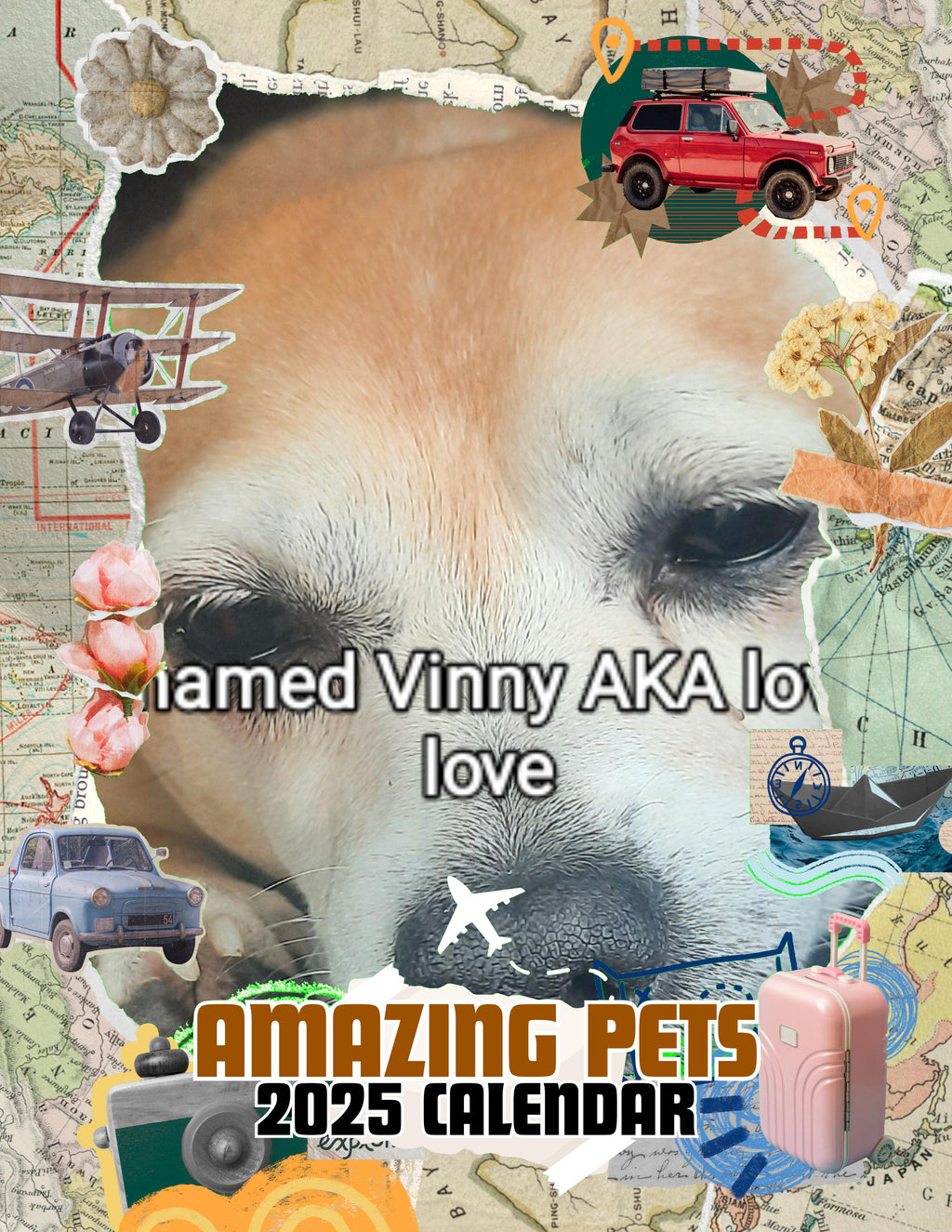 Amazing Pets: 2025 Wall Calendar (Pre-Order)