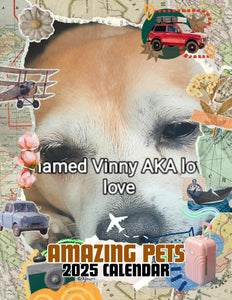 Amazing Pets: 2025 Wall Calendar (Pre-Order)