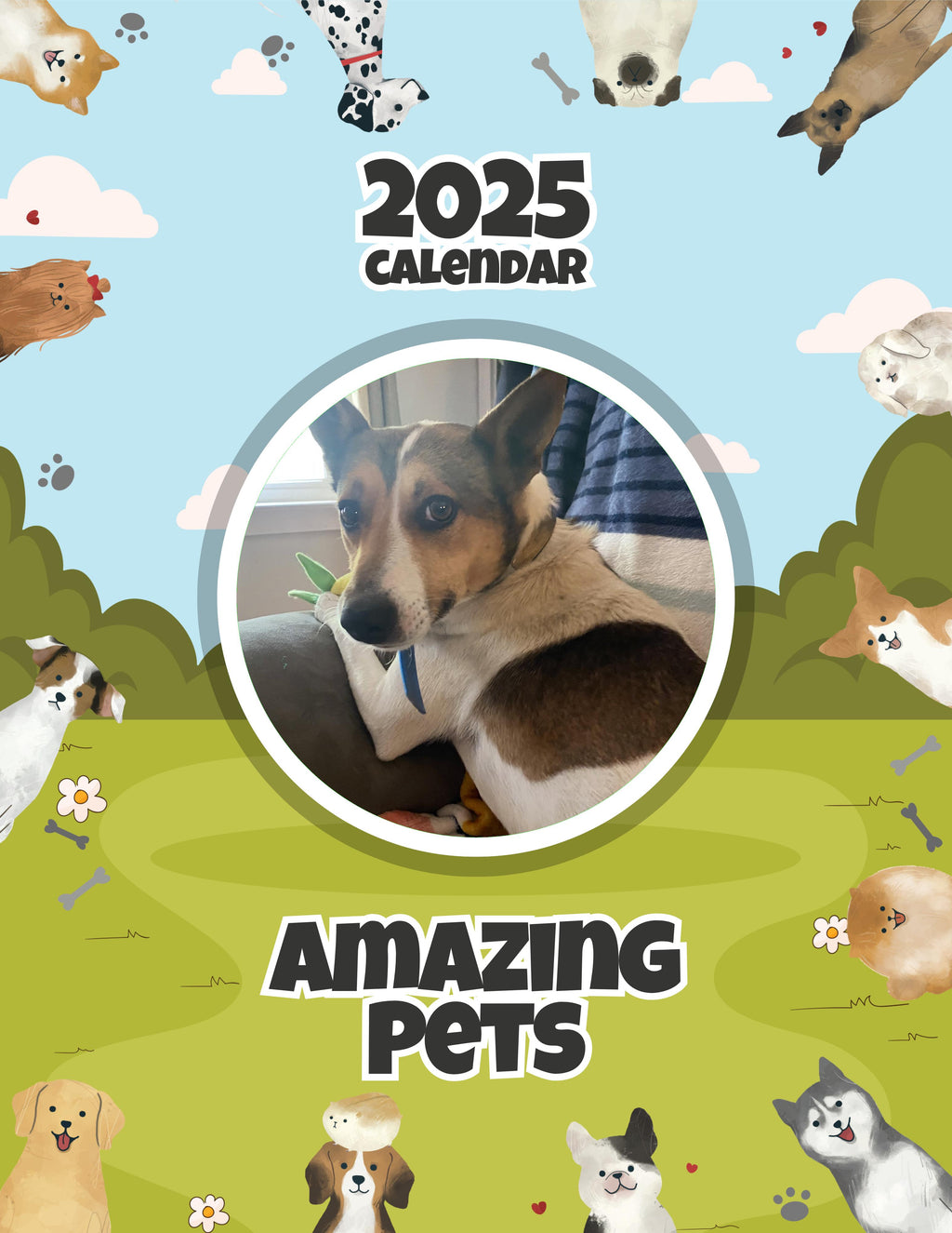 Amazing Pets: 2025 Wall Calendar (Pre-Order)