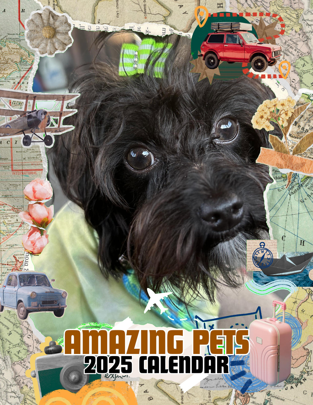 Amazing Pets: 2025 Wall Calendar (Pre-Order)