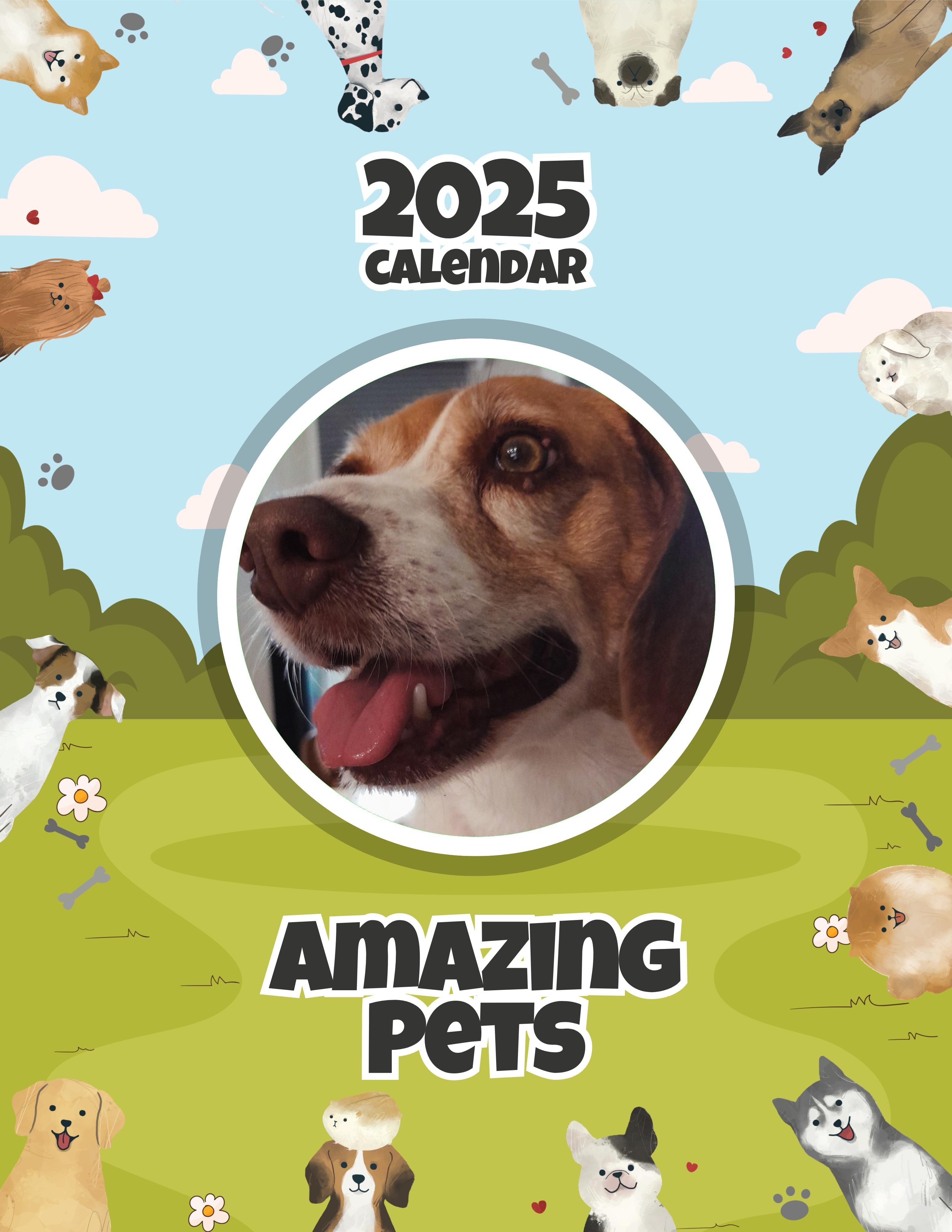 Amazing Pets: 2025 Wall Calendar (Pre-Order)