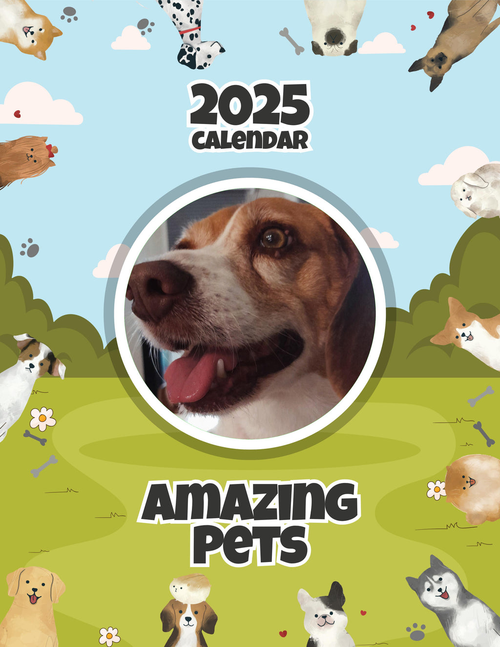 Amazing Pets: 2025 Wall Calendar (Pre-Order)