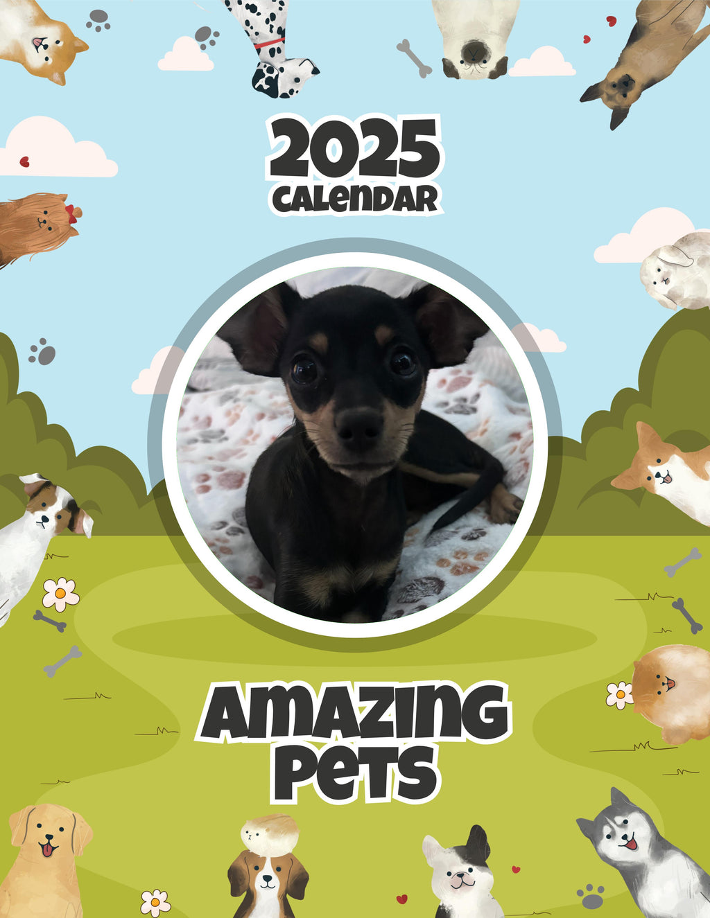 Amazing Pets: 2025 Wall Calendar (Pre-Order)