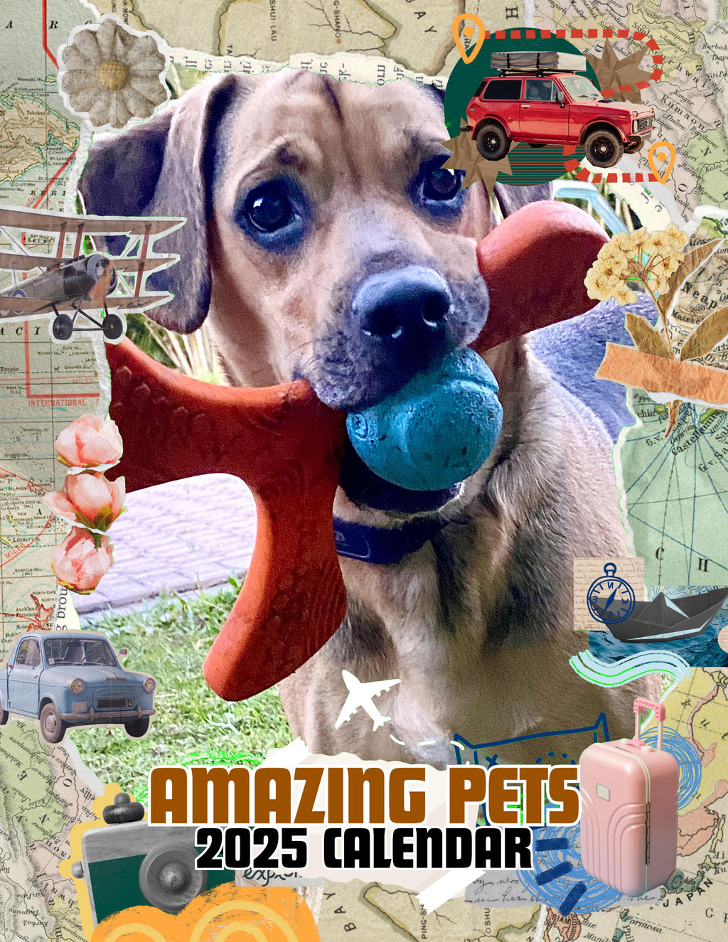 Amazing Pets: 2025 Wall Calendar (Pre-Order)