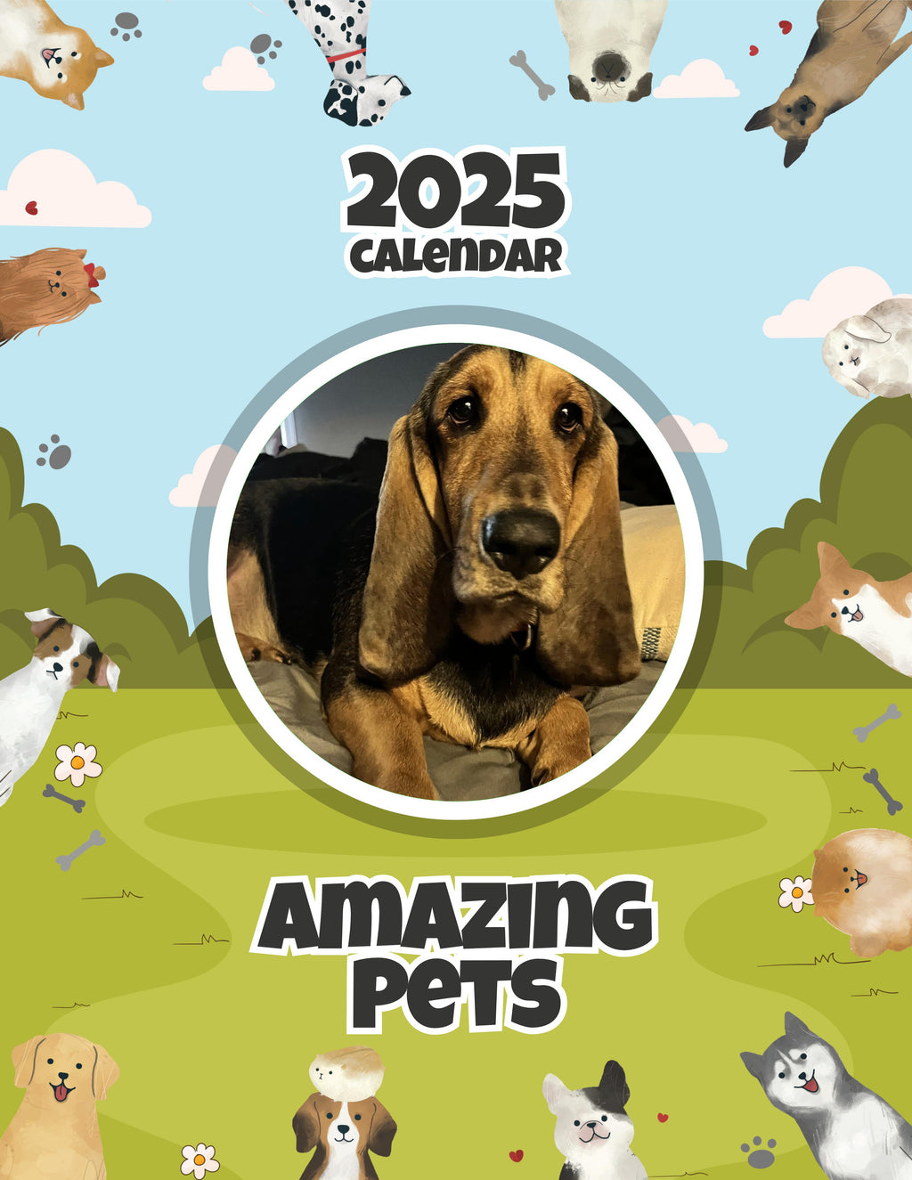 Amazing Pets: 2025 Wall Calendar (Pre-Order)